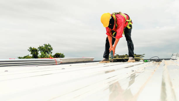 Best Emergency Roof Repair Services  in Snow Hill, NC